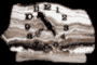 Steinuhren